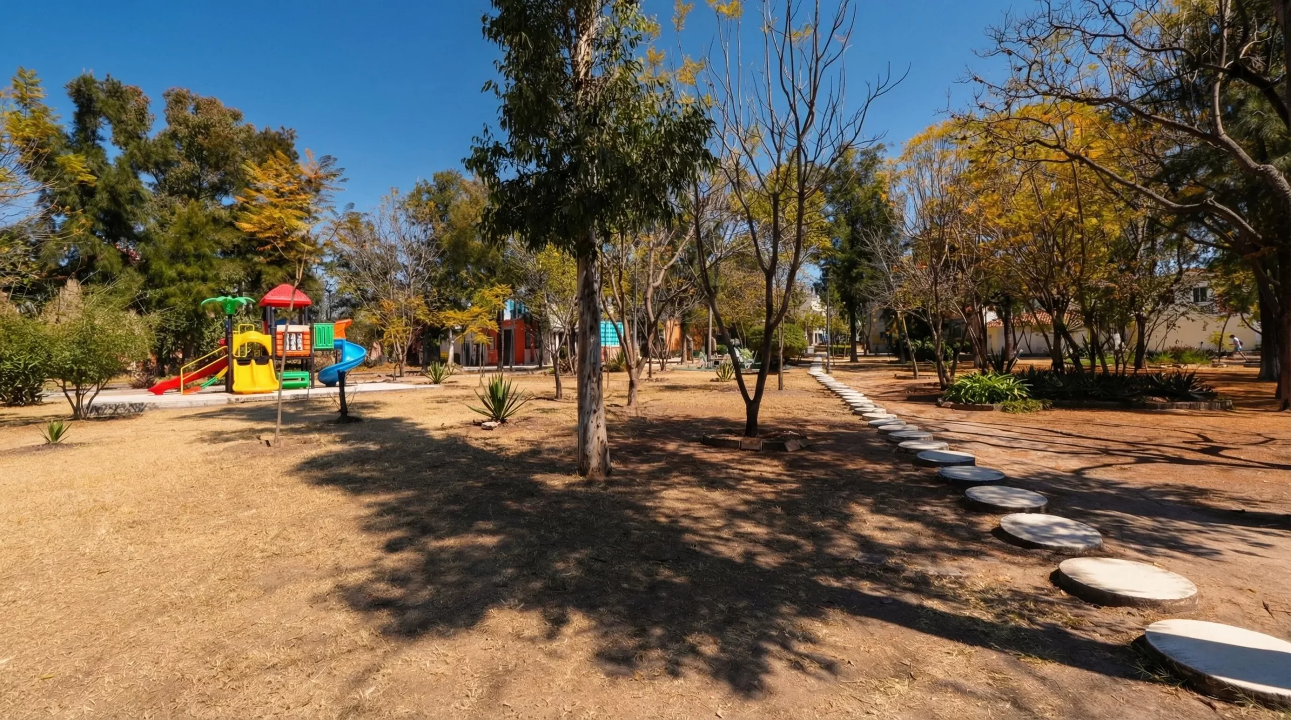 Neighborhood photo1