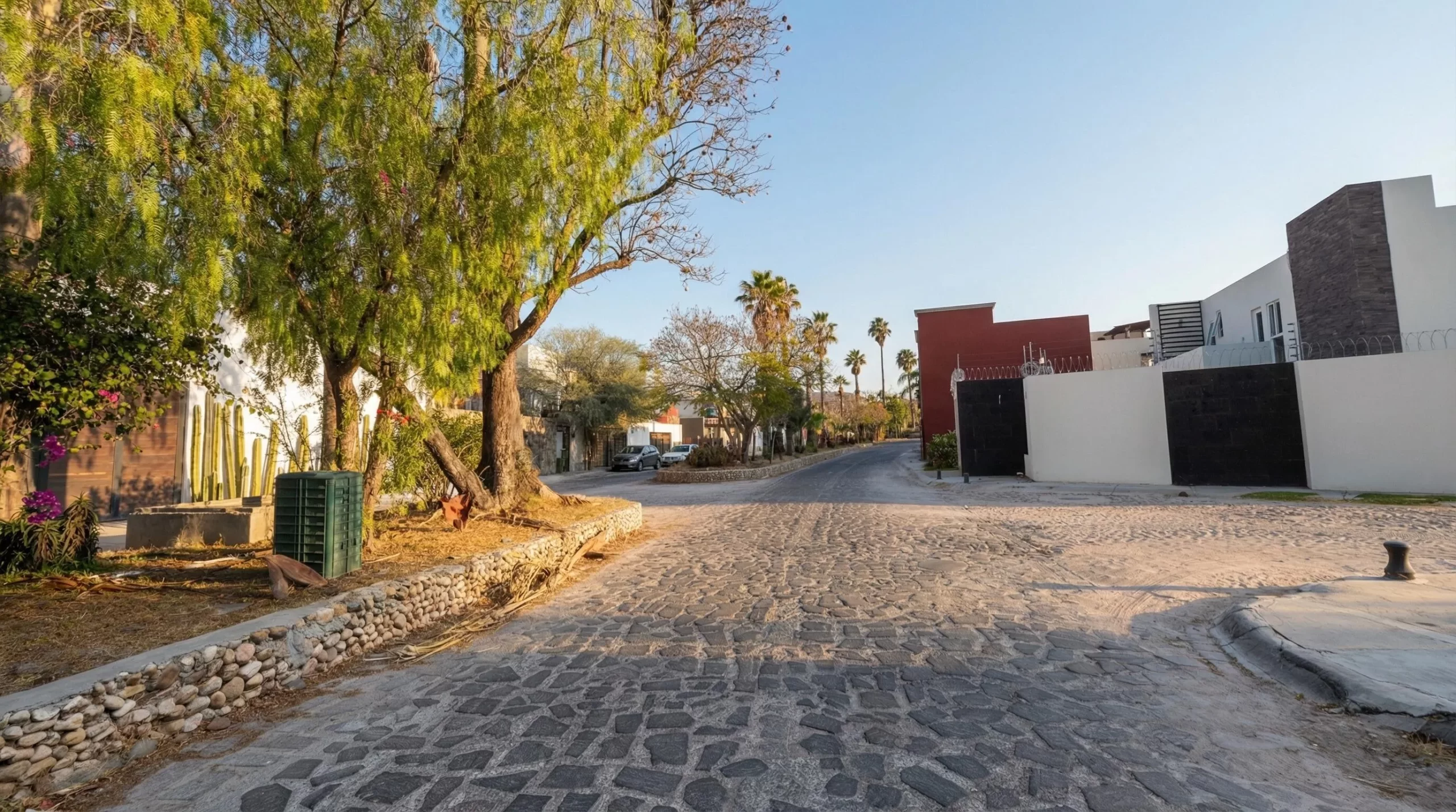 Neighborhood photo4